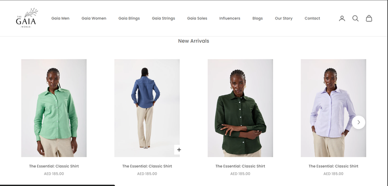 Website Desktop Showcase 1